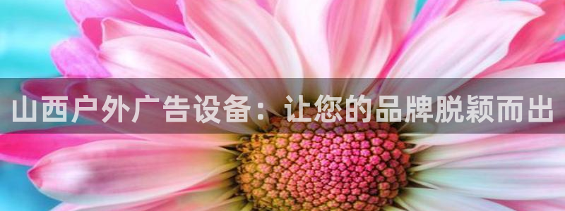 杏宇平台怎么样赚钱