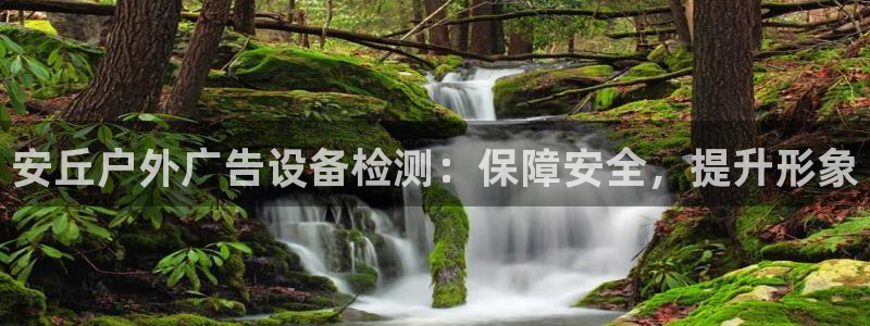杏宇平台代理