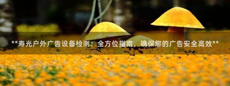 杏宇平台怎么样：**寿光户外广告设备检测：全方位指南，确保您的广告安全高效**