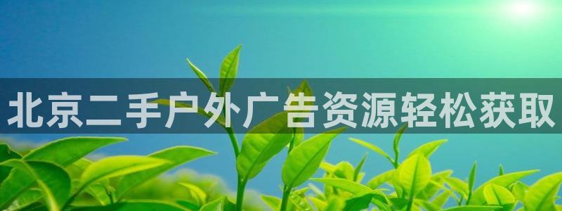 杏宇平台代理怎么赚钱
