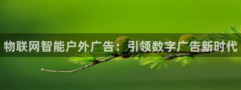 杏宇平台登录步骤图