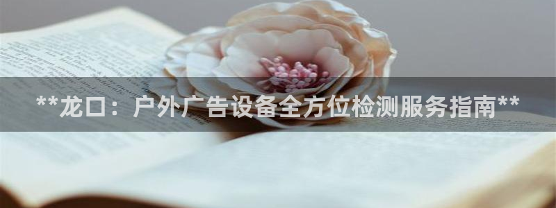 杏宇平台登录方法