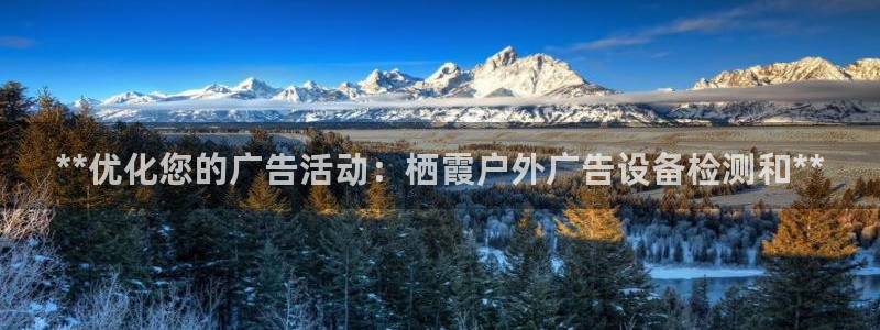 杏宇平台怎么样知乎：**优化您的广告活动：栖霞户外广告设备检测和**