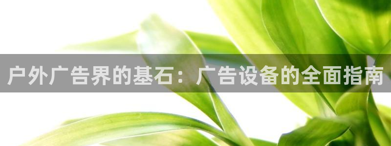 杏宇官方平台官网
