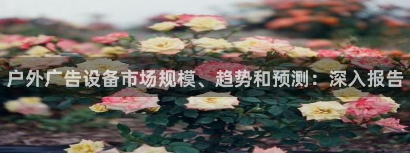 杏宇平台怎么样赚钱：户外广告设备市场规模、趋势和预测：深入报告