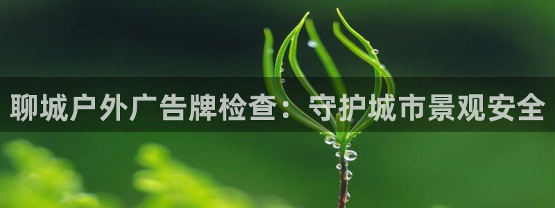 杏宇平台开户