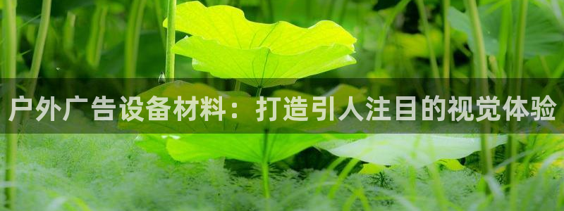 杏宇平台代理怎么样赚钱