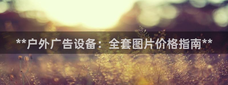 杏宇平台招商电话号码：**户外广告设备：全套图片价格指南**