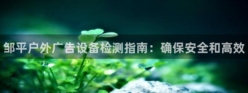 杏宇平台代理多少钱一个：邹平户外广告设备检测指南：确保安全和高效