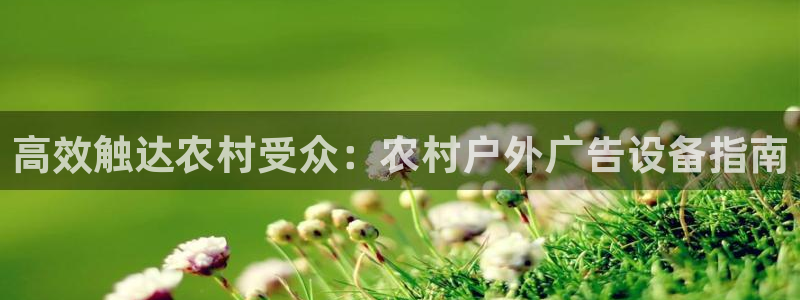 杏宇平台注册地址在哪里：高效触达农村受众：农村户外广告设备指南