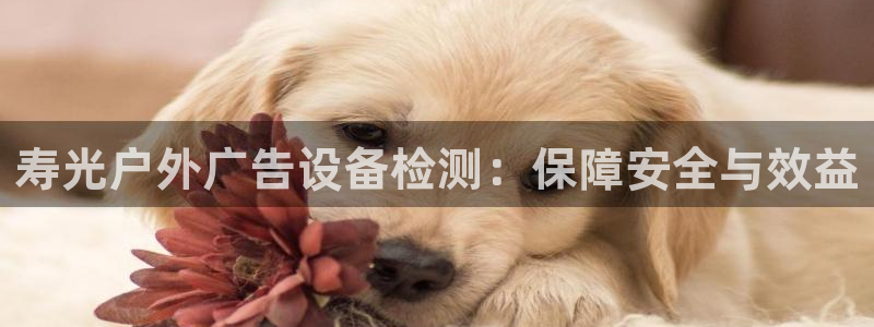杏宇官方平台官网下载