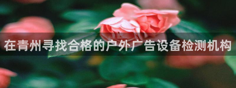 杏宇平台登录步骤图：在青州寻找合格的户外广告设备检测机构