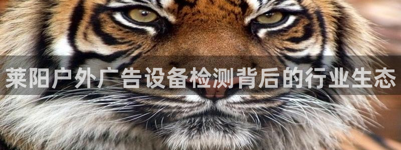 杏宇平台代理多少钱一个月
