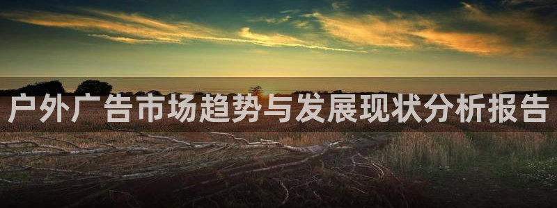杏宇代理注册