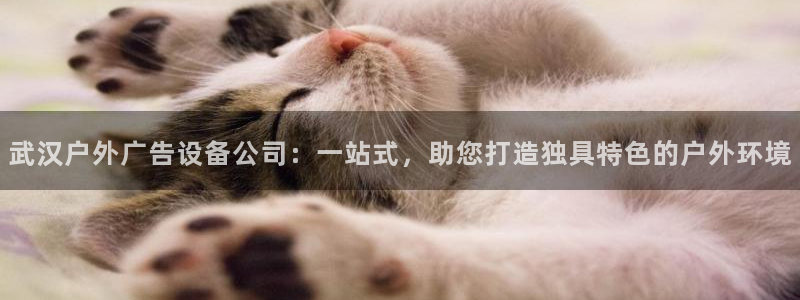 杏宇平台提现为什么这么久呢：武汉户外广告设备公司：一站式，助您打造独具特色的户外环境