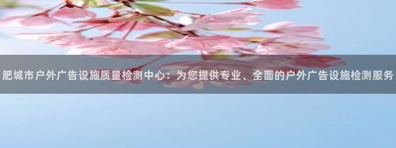 杏宇平台注册地址在哪里：肥城市户外广告设施质量检测中心：为您提供专业、全面的户外广告设施检测服务