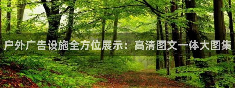 杏宇官方平台官网