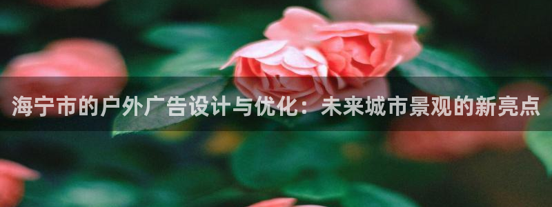 杏宇平台代理怎么赚钱：海宁市的户外广告设计与优化：未来城市景观的新亮点