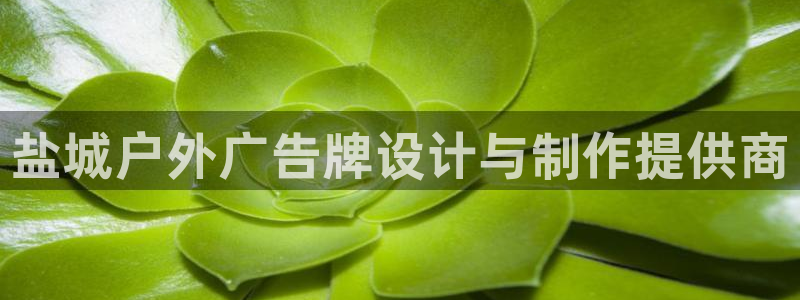 杏宇平台官网注册：盐城户外广告牌设计与制作提供商