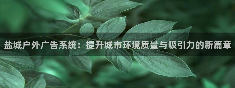 杏宇平台登录步骤是什么：盐城户外广告系统：提升城市环境质量与吸引力的新篇章