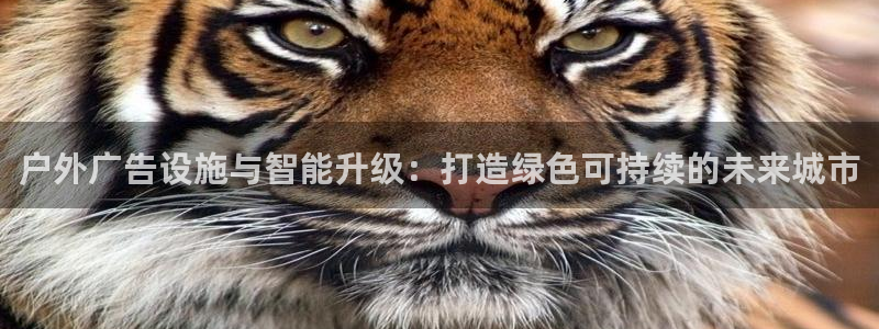 杏宇平台登陆：户外广告设施与智能升级：打