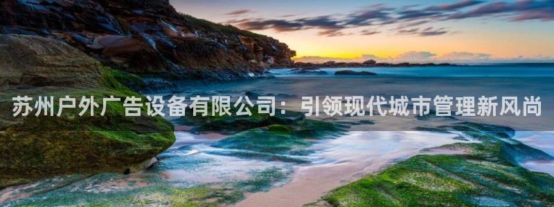 杏宇平台提现为什么这么久呢：苏州户外广告设备有限公司：引领现代城市管理新风尚
