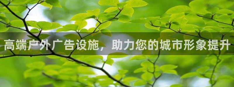 杏宇平台登录方法：高端户外广告设施，助力您的城市形象提升