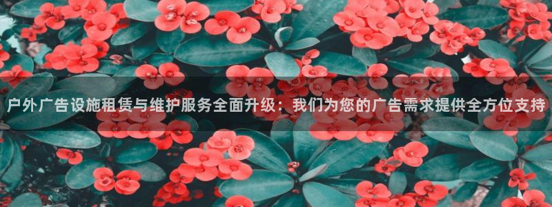 杏宇平台代理怎么样啊：户外广告设施租赁与