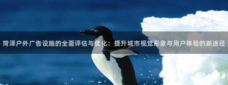 杏宇平台代理：菏泽户外广告设施的全面评估