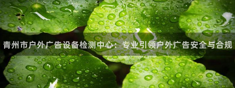杏宇平台代理怎么赚钱：青州市户外广告设备