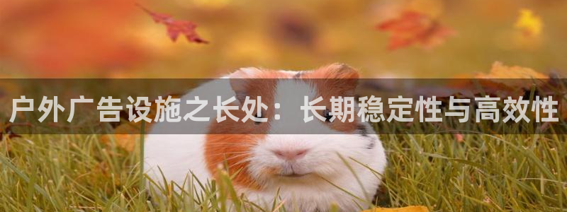 杏宇平台代理怎么样啊：户外广告设施之长处