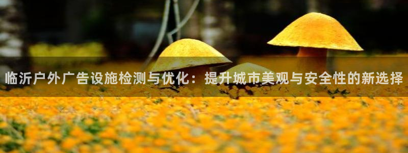 杏宇平台代理：临沂户外广告设施检测与优化
