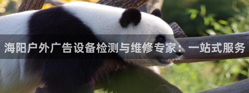 杏宇平台主管：海阳户外广告设备检测与维修专家：一站式服务
