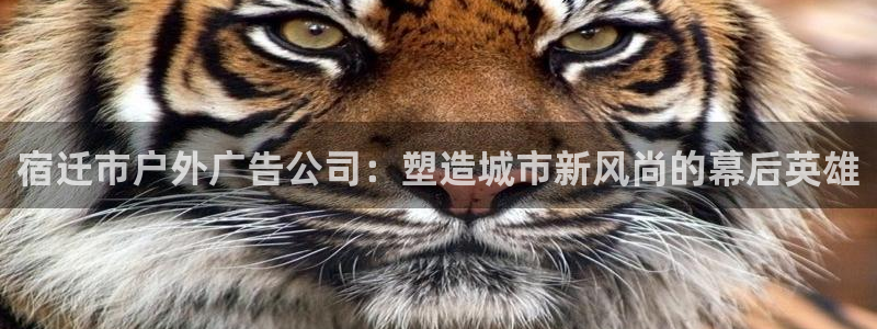 杏宇平台主管：宿迁市户外广告公司：塑造城