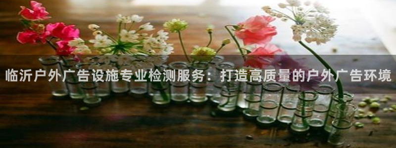 杏宇平台代理怎么样啊