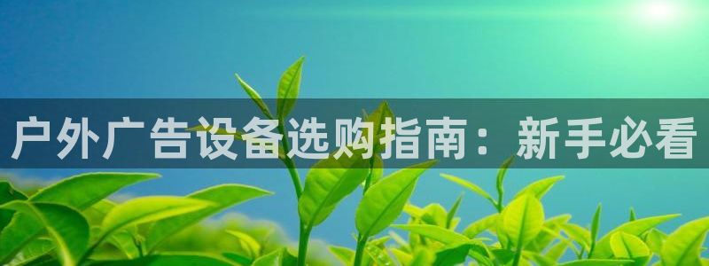 杏宇平台代理多少钱一个月