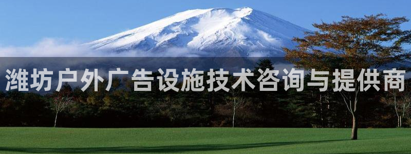 杏宇平台客服：潍坊户外广告设施技术咨询与提供商