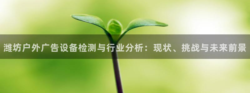 杏宇平台测速链接：潍坊户外广告设备检测与行业分析：现状、挑战与未来前景