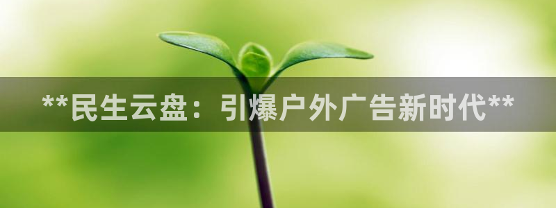 杏宇平台测速链接：**民生云盘：引爆户外广告新时代**