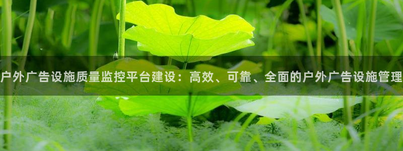 杏宇平台登录步骤图：户外广告设施质量监控平台建设：高效、可靠、全面的户外广告设施管理