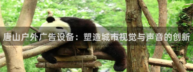 杏宇代理注册：唐山户外广告设备：塑造城市视觉与声音的创新