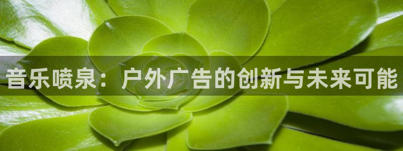 杏宇平台好吗：音乐喷泉：户外广告的创新与未来可能