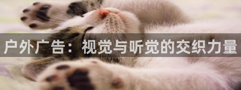 杏宇平台登录步骤是什么：户外广告：视觉与听觉的交织力量