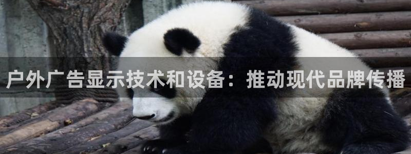 杏宇平台代理多少钱一次：户外广告显示技术