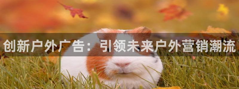 杏宇平台代理怎么赚钱的：创新户外广告：引领未来户外营销潮流