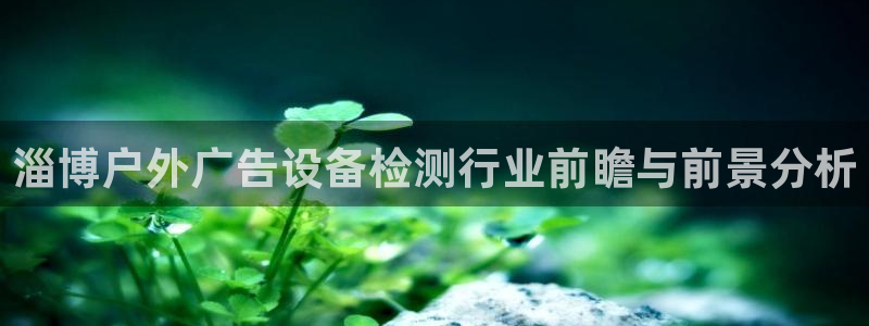 杏宇平台提现为什么这么久呢：淄博户外广告设备检测行业前瞻与前景分析