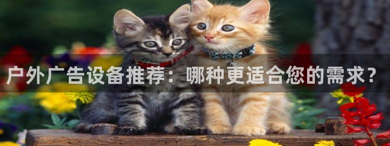 杏宇平台怎么样知乎：户外广告设备推荐：哪