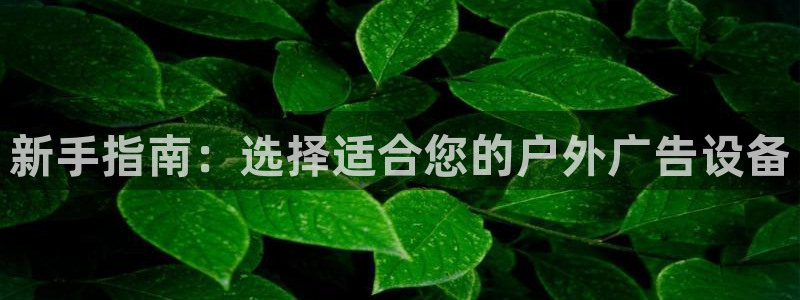 杏宇平台测速链接