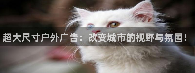 杏宇平台提现为什么这么久呢：超大尺寸户外